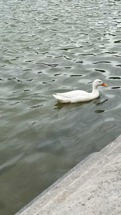 Along the Seine