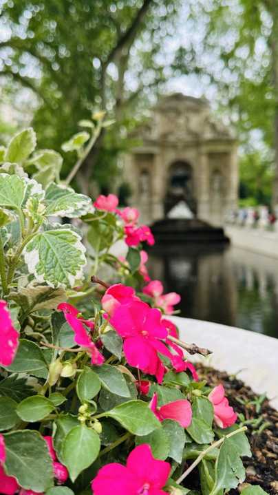 Jardin du Luxembourg