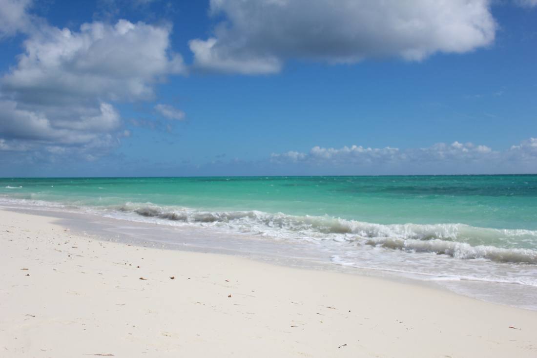 Beaches & the Bahamas Crossing