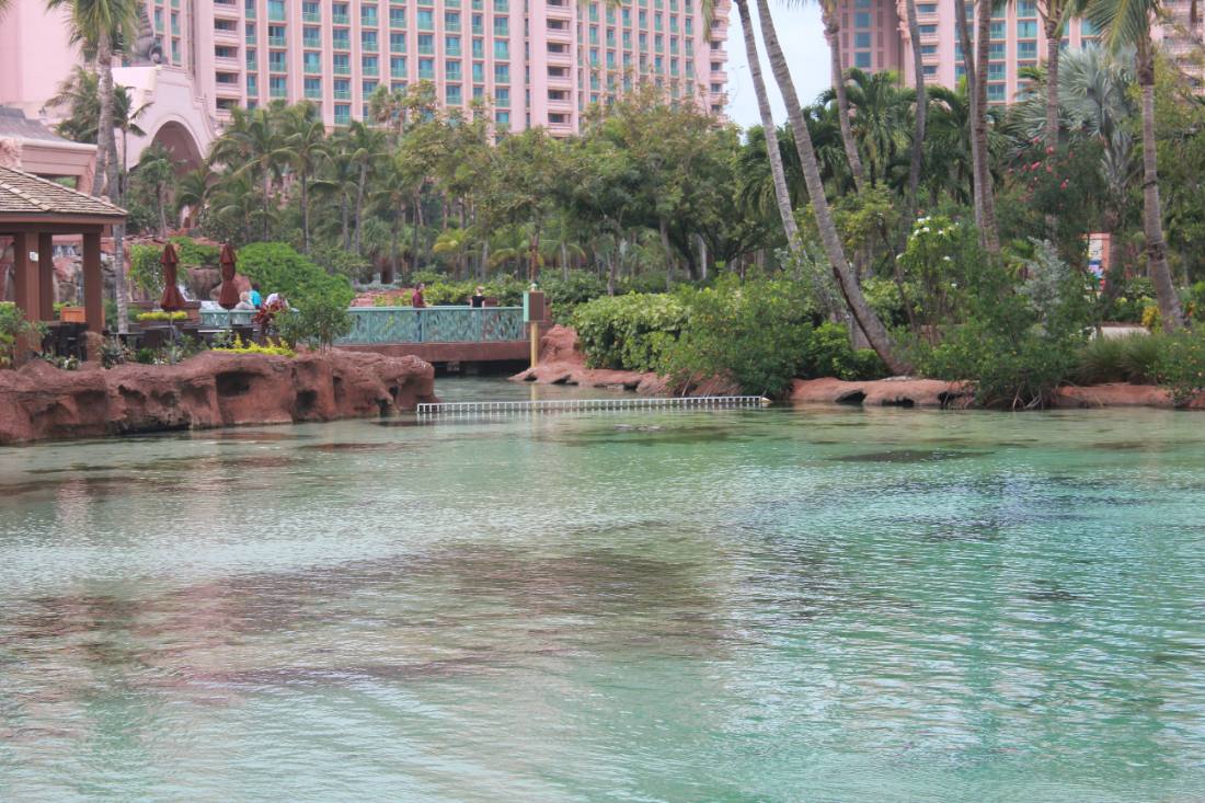 Nassau & Atlantis
