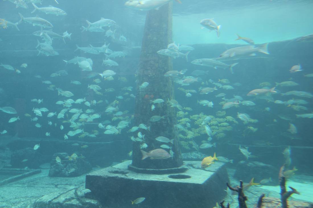 Nassau & Atlantis