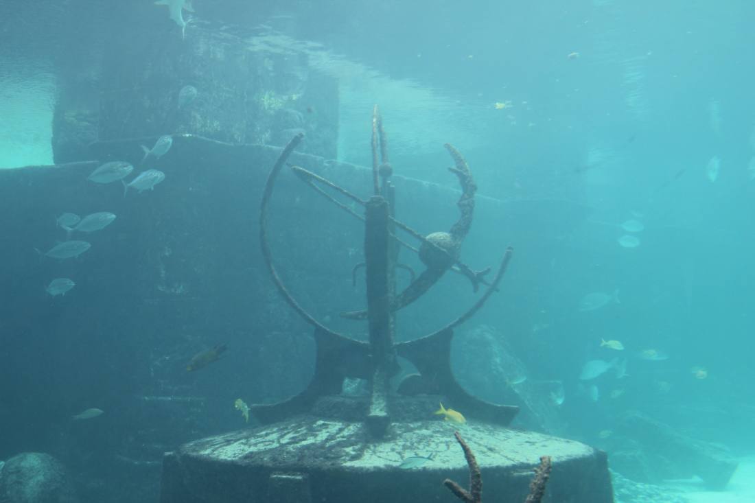 Nassau & Atlantis