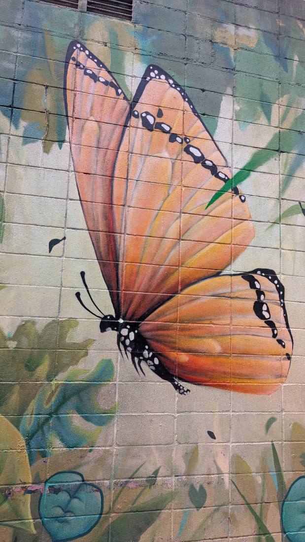 Sao Paulo — monuments & street art