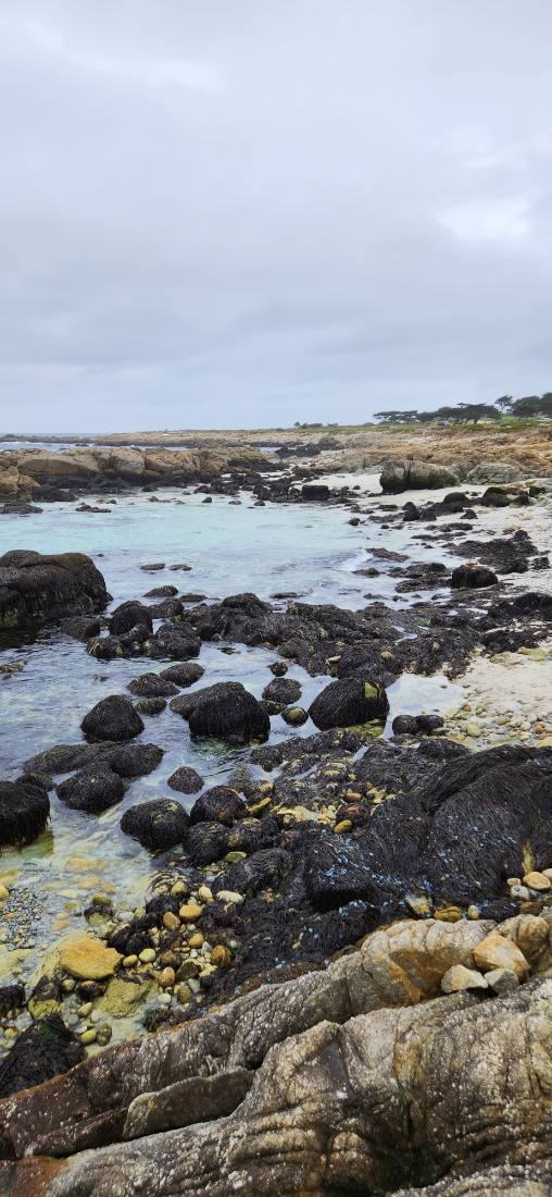Monterey, Carmel & Big Sur