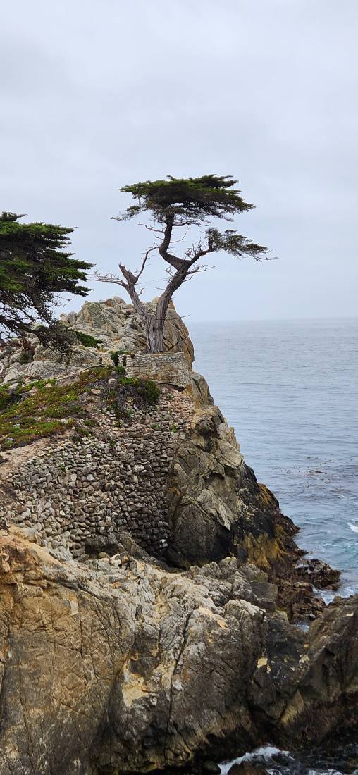 Monterey, Carmel & Big Sur