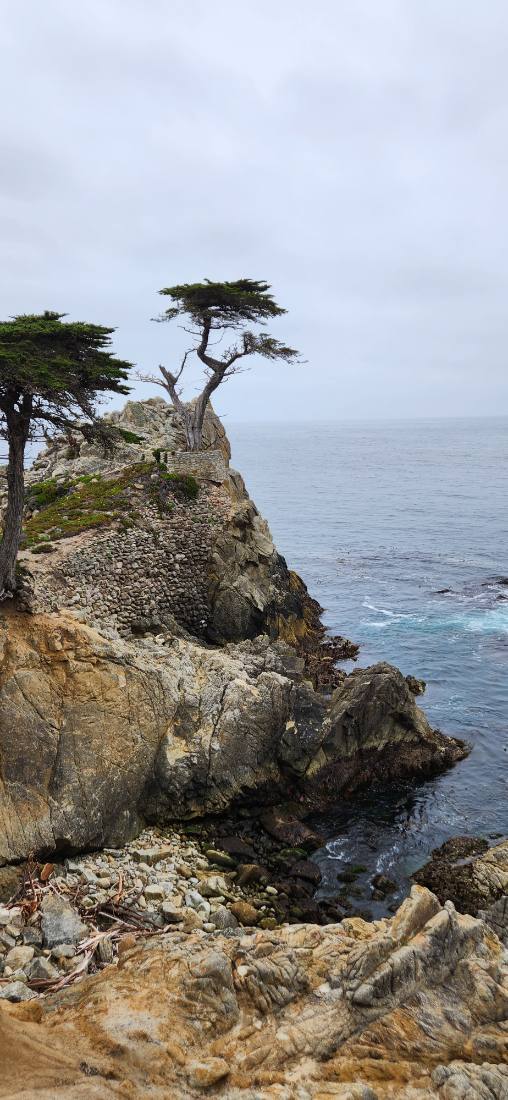 Monterey, Carmel & Big Sur