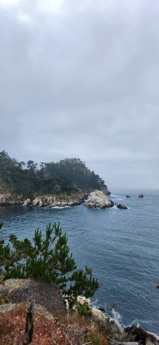 Monterey, Carmel & Big Sur