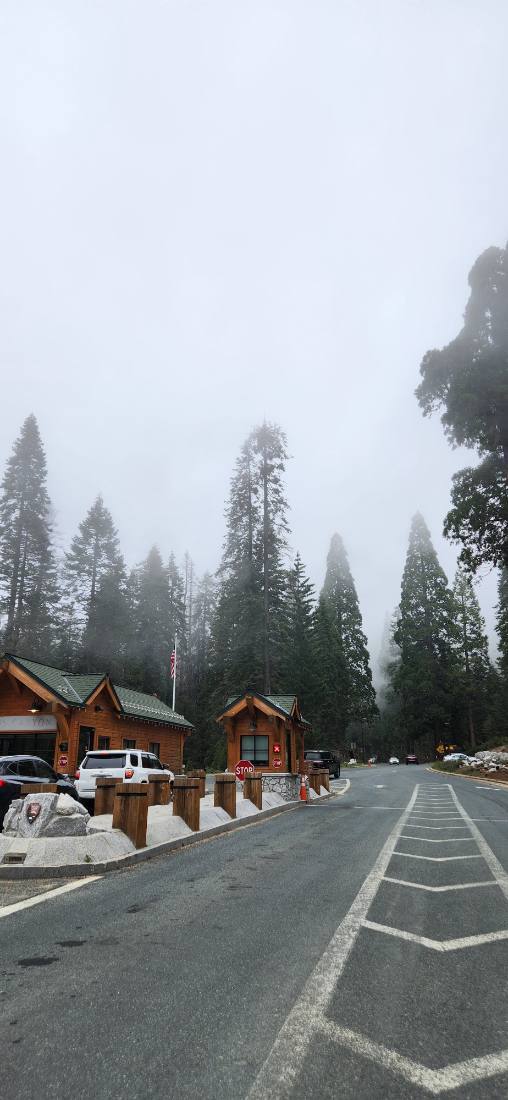 Sequoia & Kings Canyon