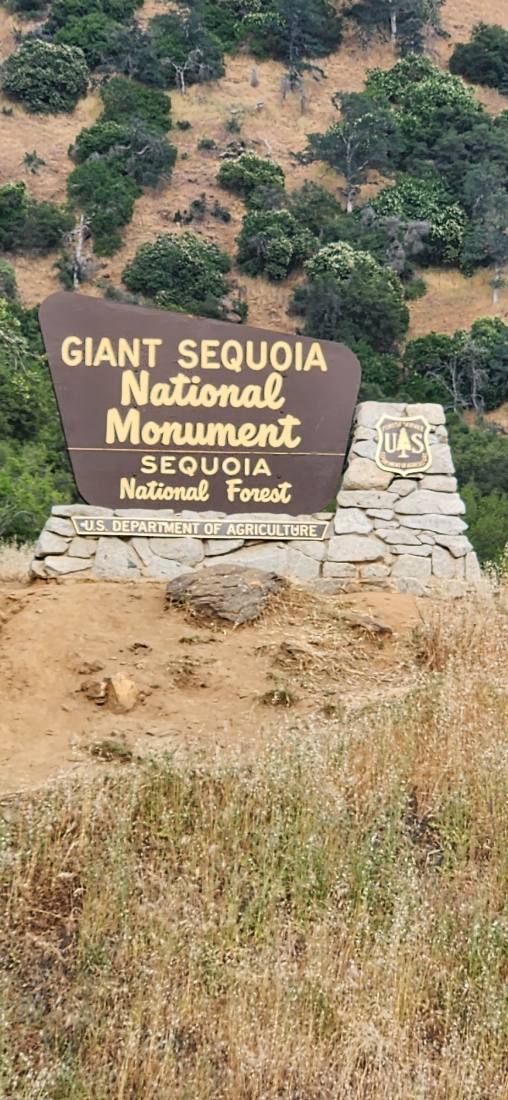 Sequoia & Kings Canyon