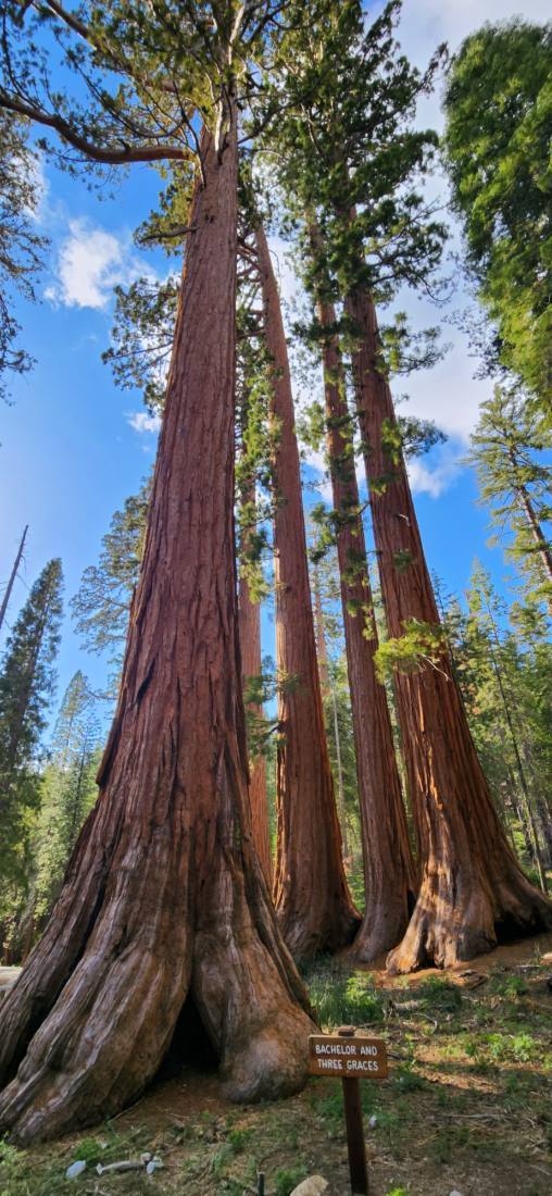 Yosemite