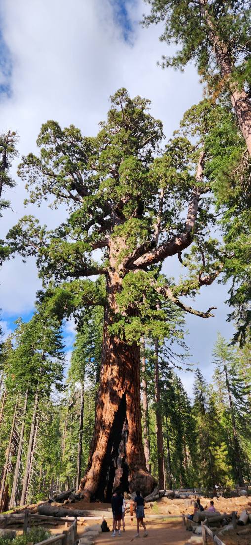Yosemite