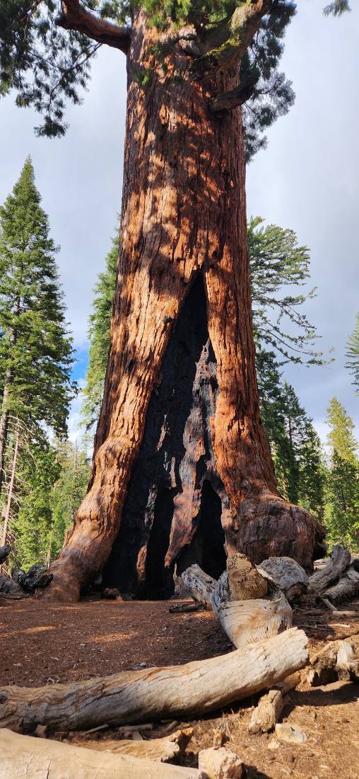 Yosemite