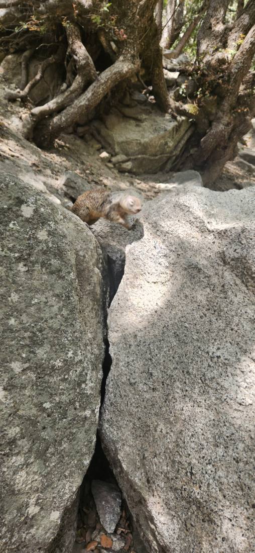 Yosemite