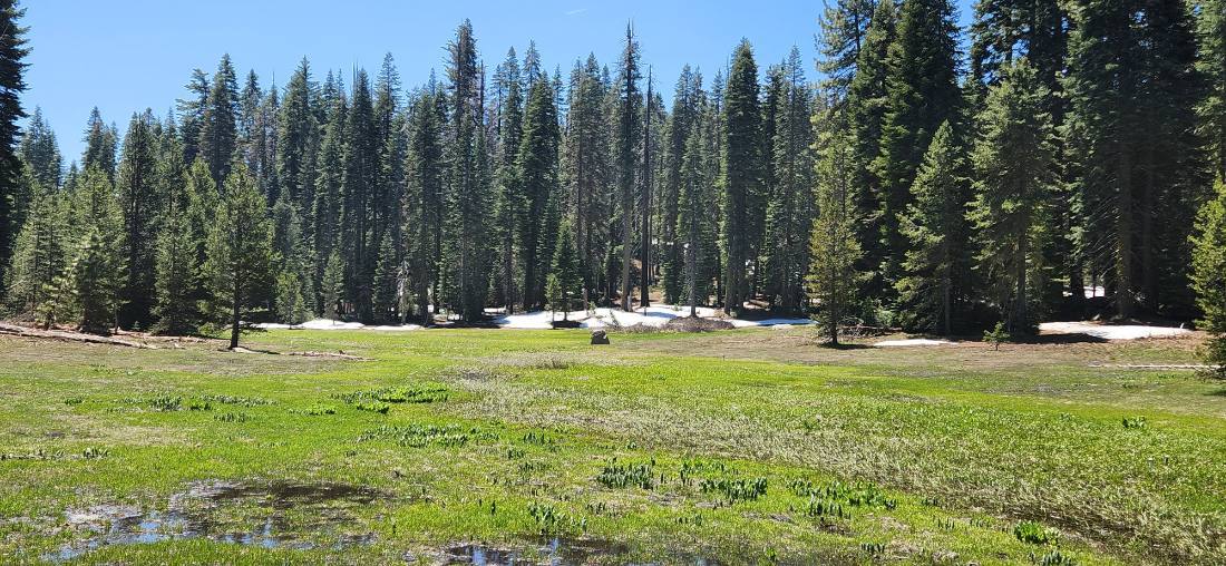 Yosemite