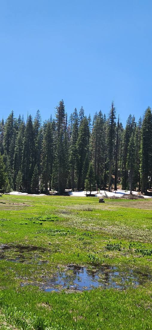 Yosemite