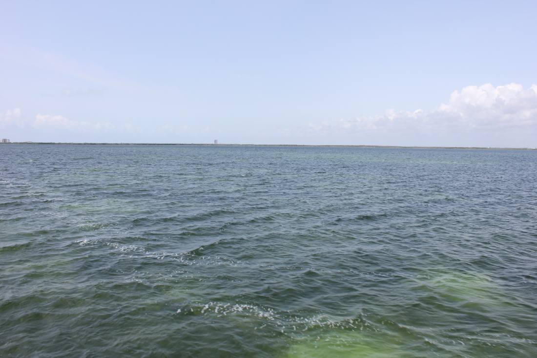 Mangroves, the lagoon & the reef