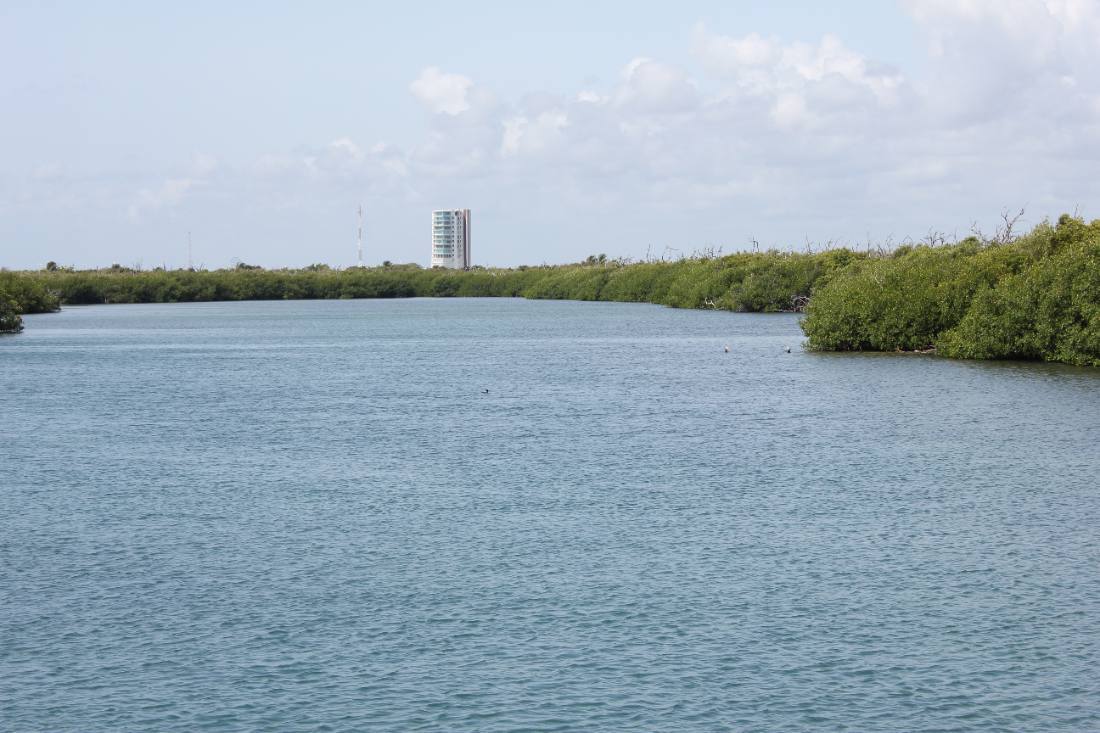 Mangroves, the lagoon & the reef