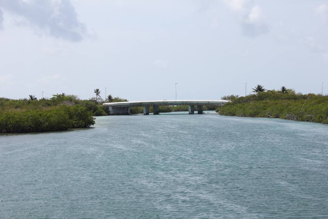 Mangroves, the lagoon & the reef