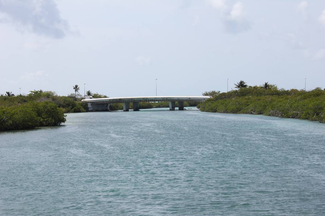 Mangroves, the lagoon & the reef