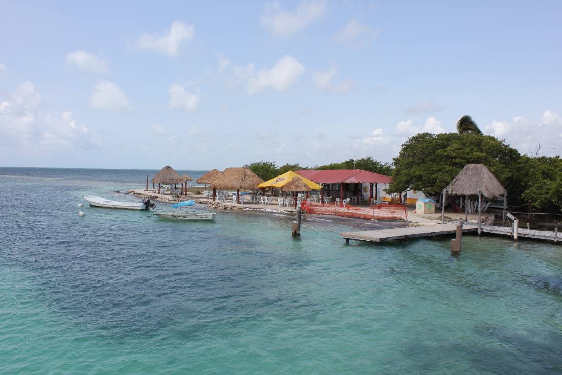 Mangroves, the lagoon & the reef