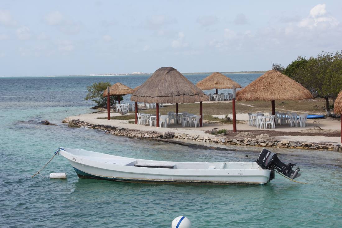 Mangroves, the lagoon & the reef