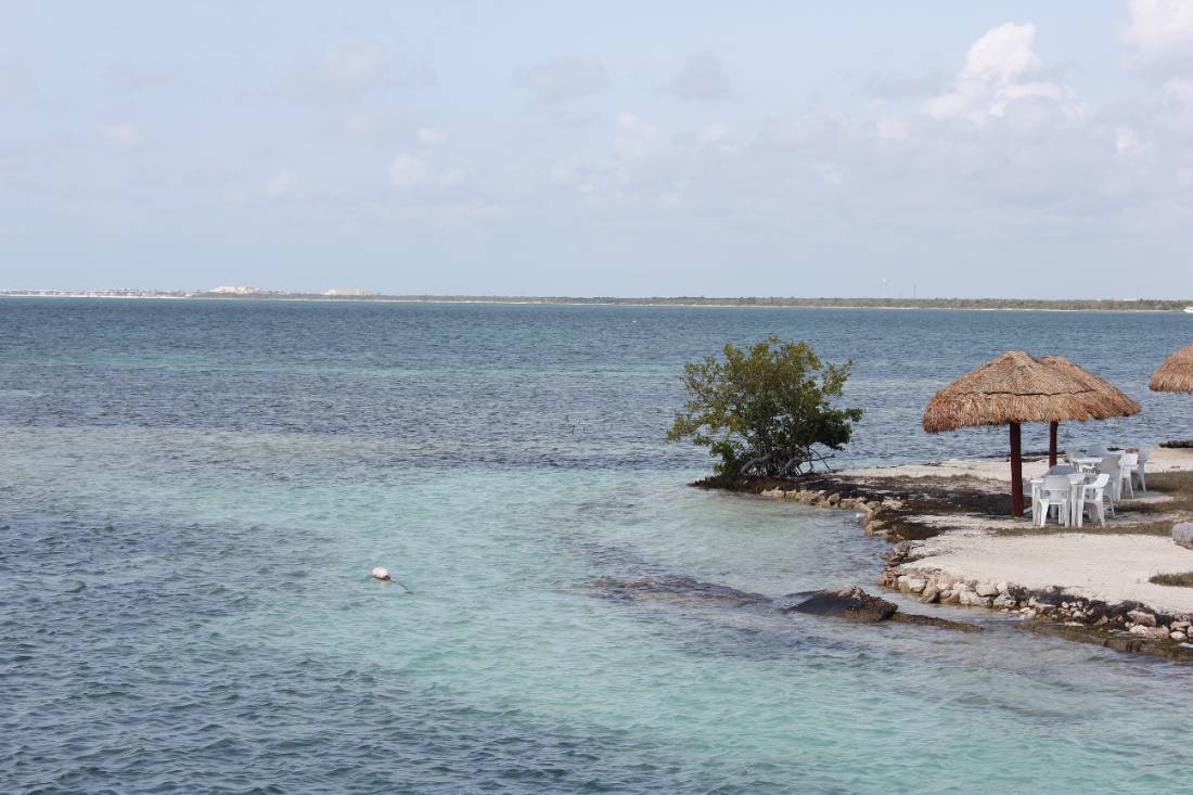 Mangroves, the lagoon & the reef