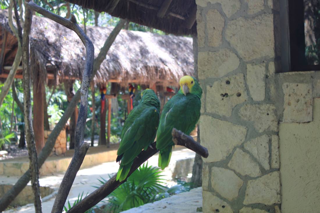 Xcaret