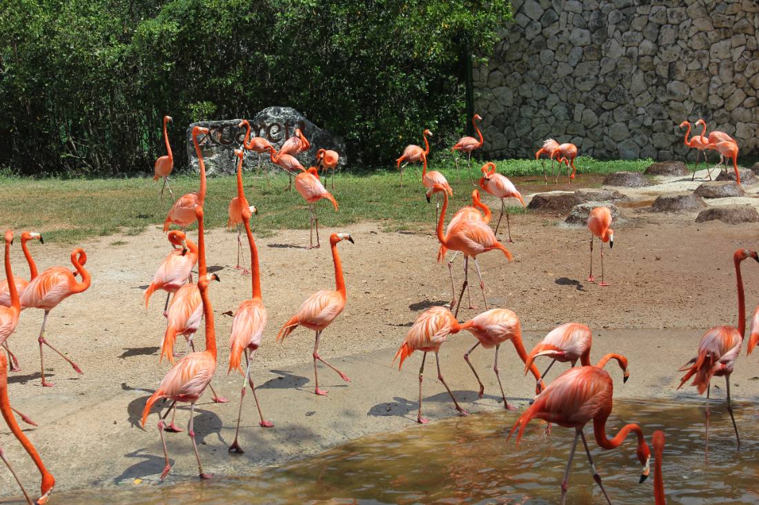 Xcaret