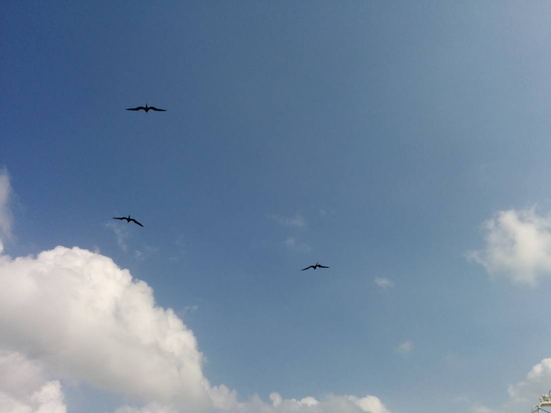 Over the bay
