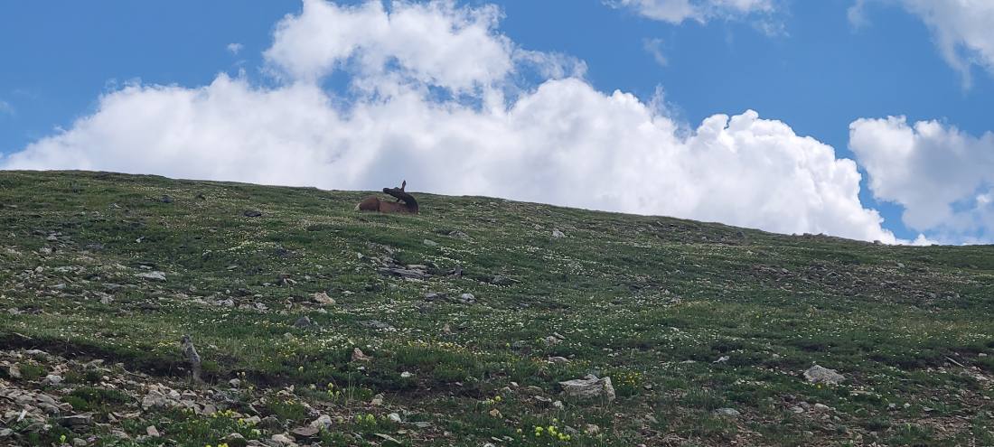 Rocky Mountain National Park