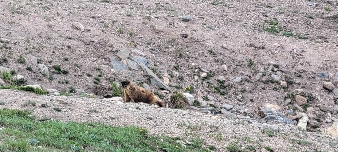 Rocky Mountain National Park