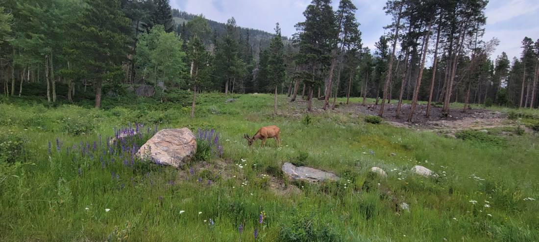 Rocky Mountain National Park