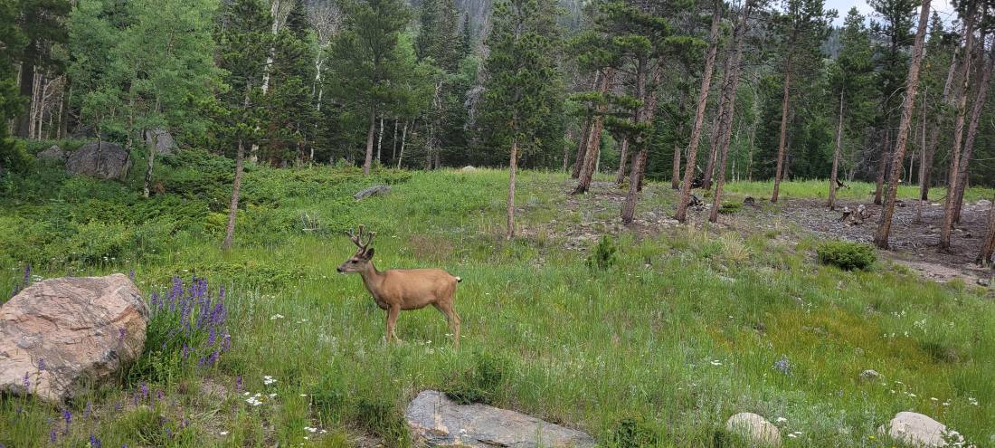 Rocky Mountain National Park