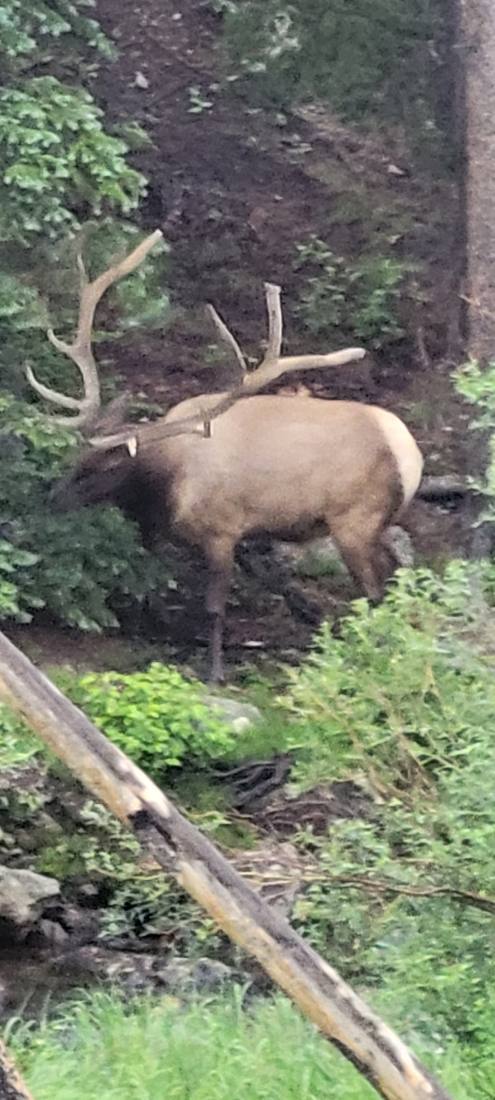 Rocky Mountain National Park