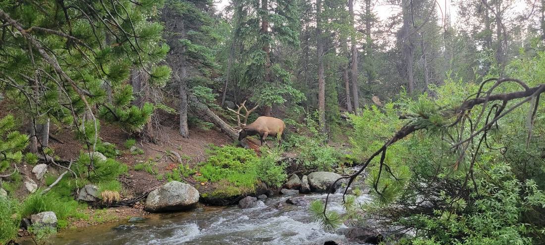Rocky Mountain National Park
