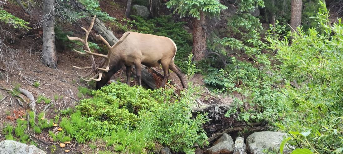 Rocky Mountain National Park