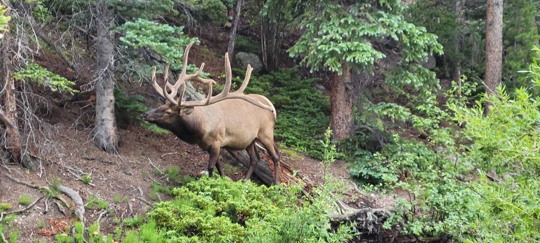 Rocky Mountain National Park