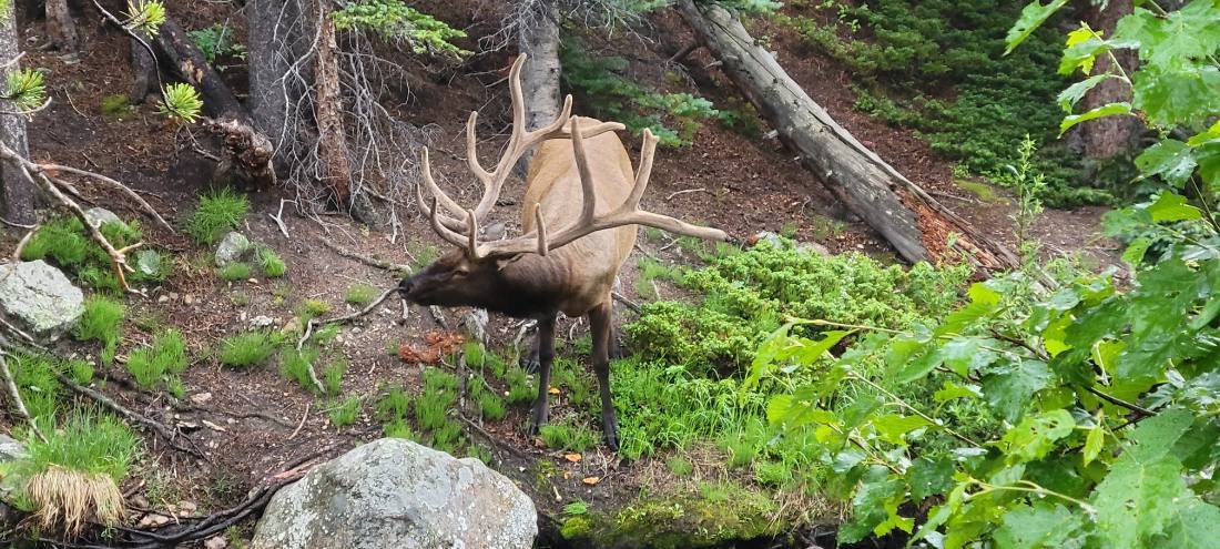 Rocky Mountain National Park