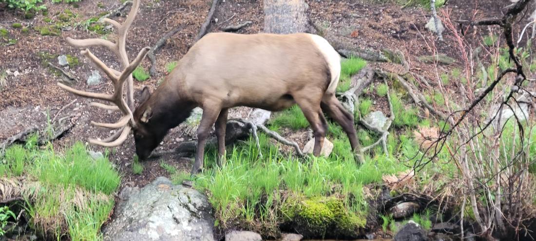 Rocky Mountain National Park