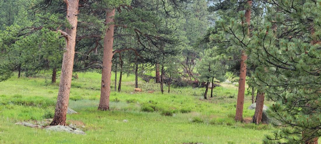 Rocky Mountain National Park
