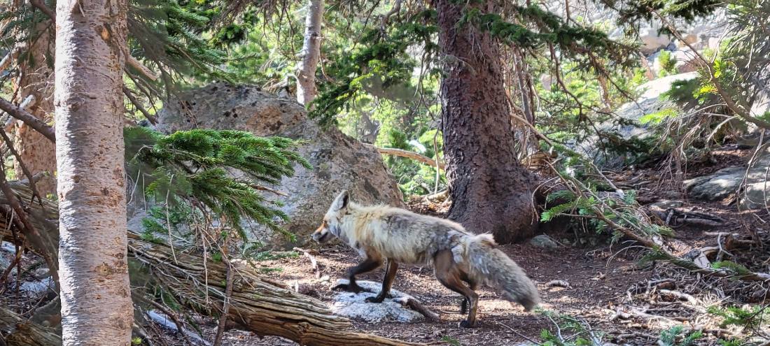 Rocky Mountain National Park