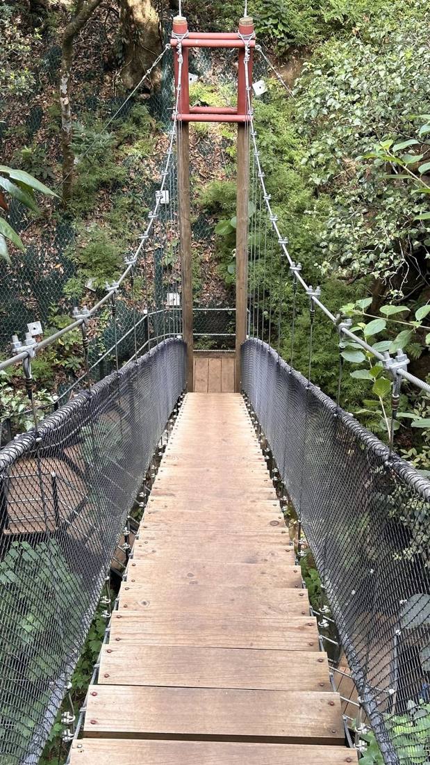 The hanging bridges