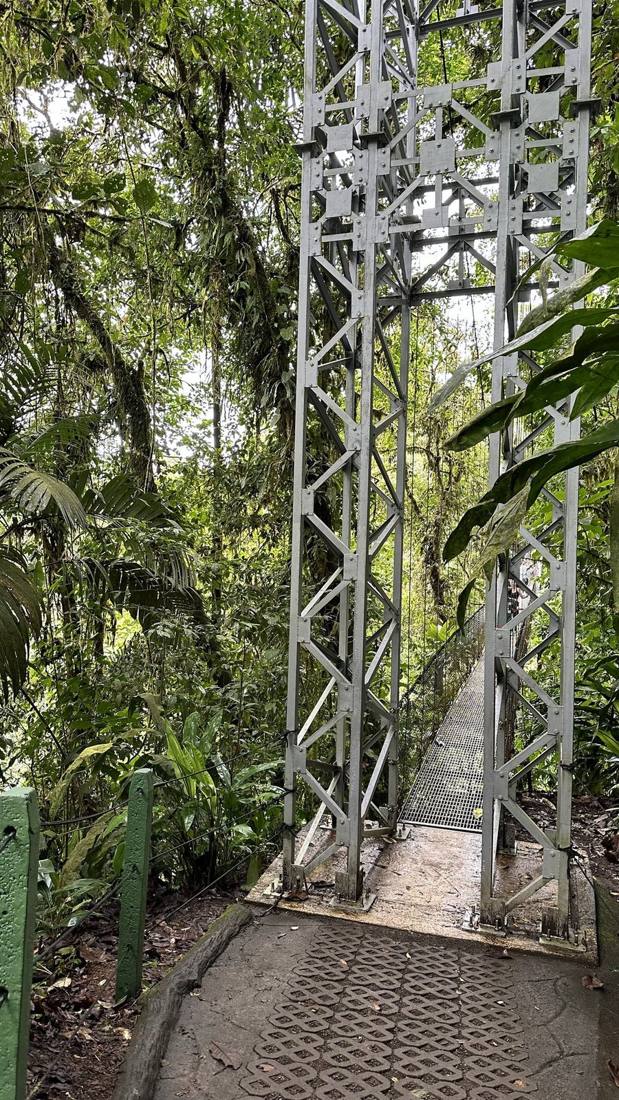The hanging bridges