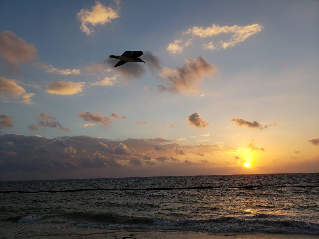 Cancún — Riviera Maya