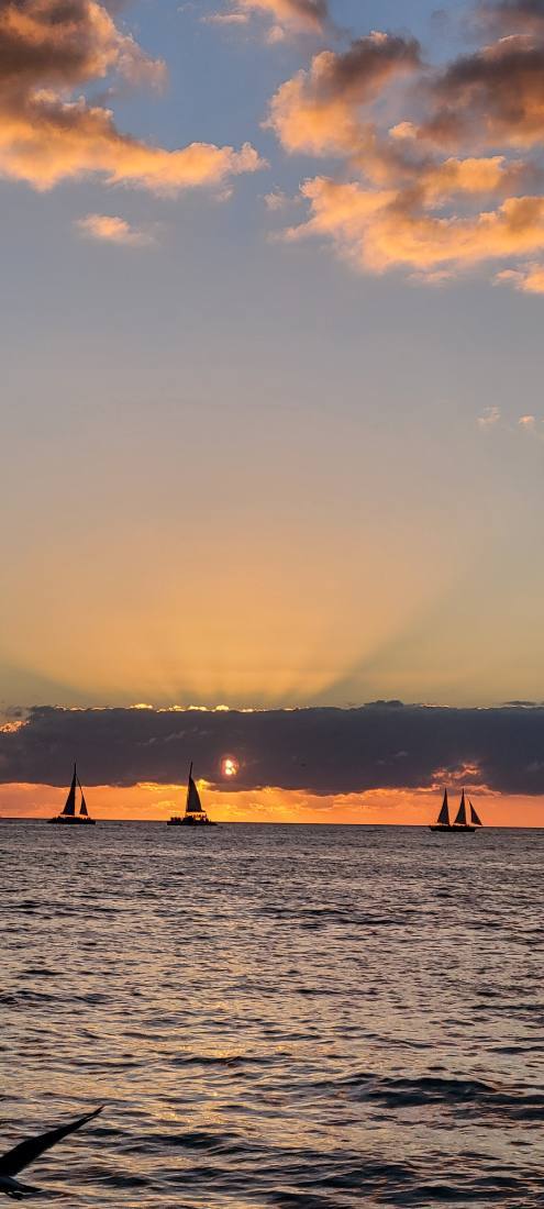 Key West & the sunset sail