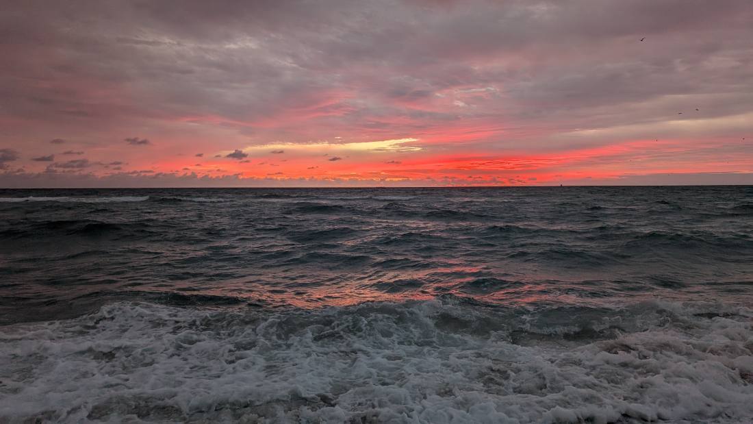 Miami — beaches, Wynwood & Little Havana