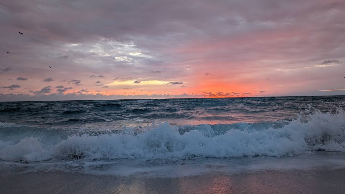 Miami — beaches, Wynwood & Little Havana
