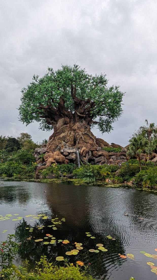 Disney's Animal Kingdom