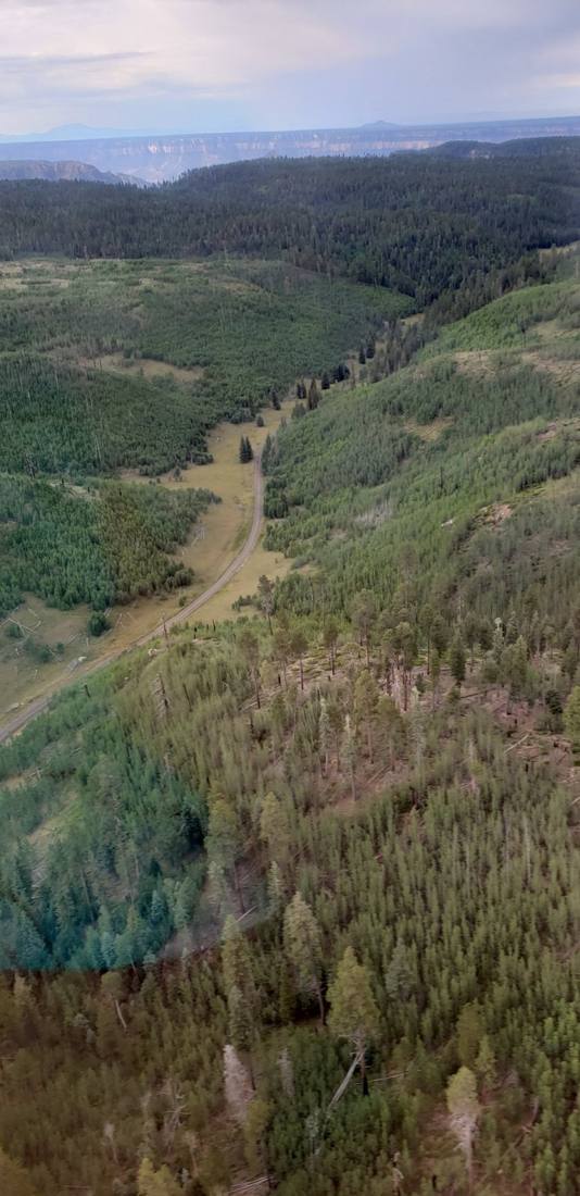 The canyon from above