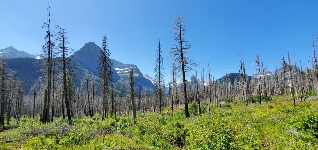 St. Mary Lake